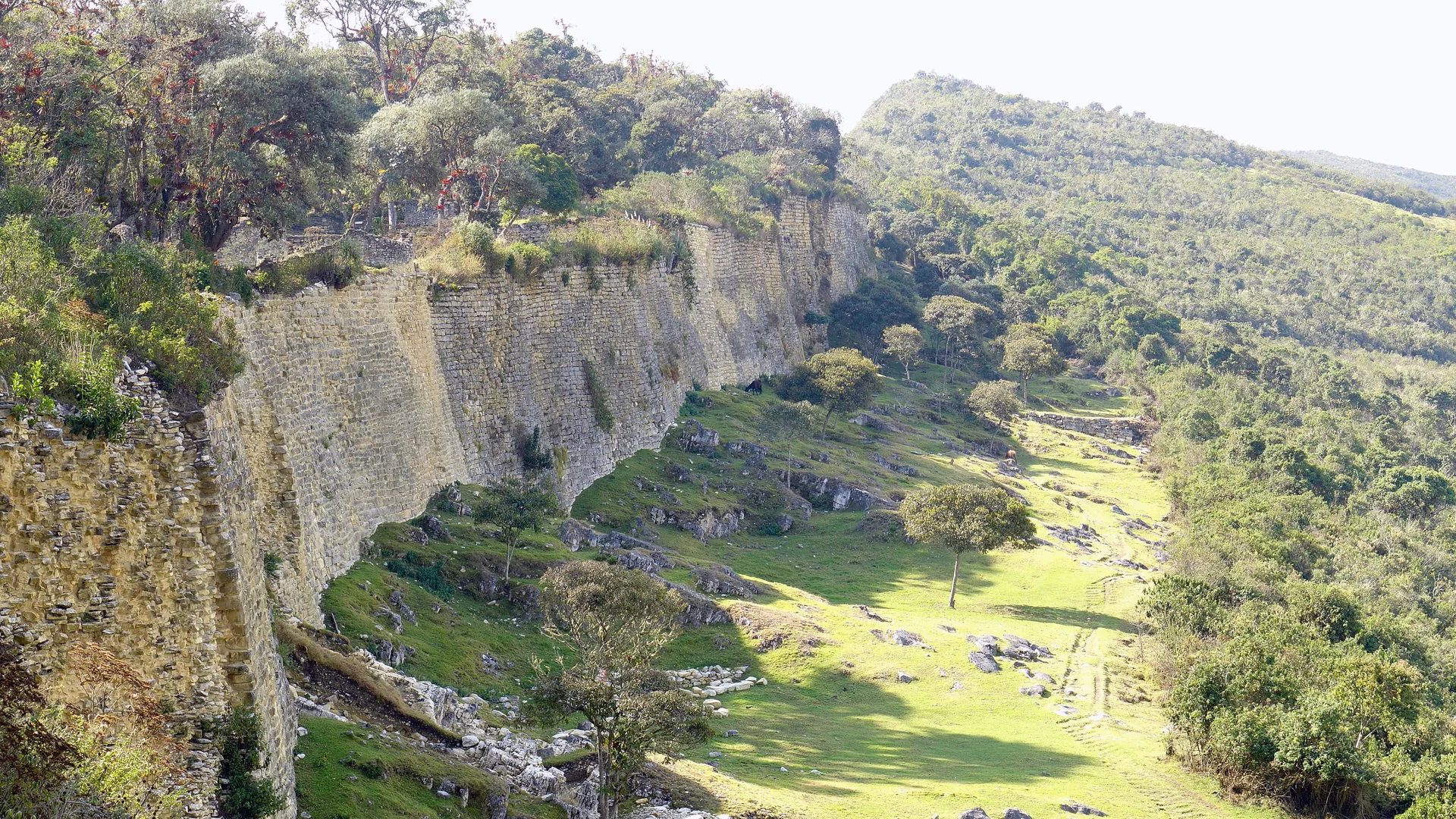 El muro perimetral oriental de Kuélap, una imponente muralla de piedra caliza dispuesta en hiladas que recorre una cresta boscosa en la región de Amazonas, Perú, con árboles de bosque nuboso creciendo a lo largo de su borde superior